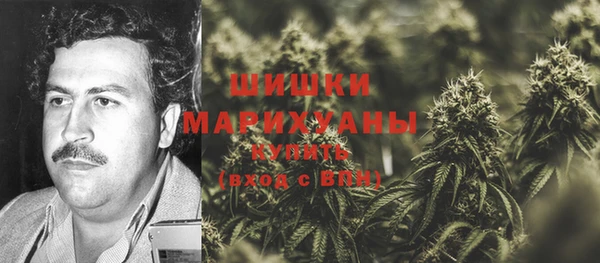 apvp Лиски