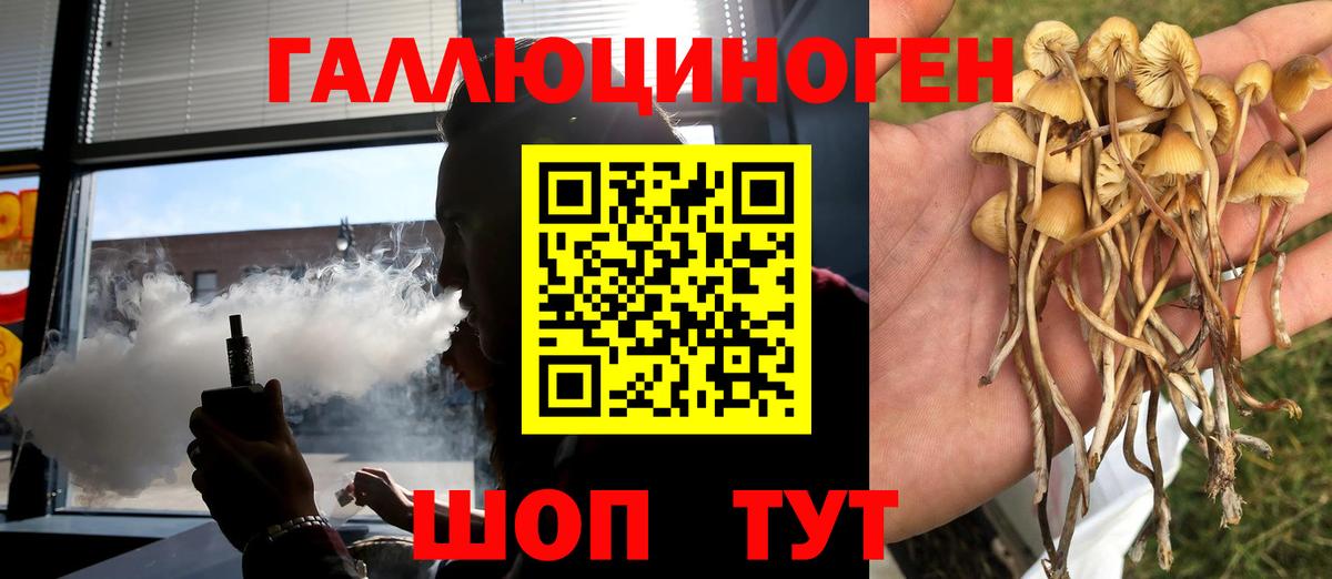 Галлюциногенные грибы мицелий  Вход с VPN  Сокол 